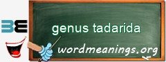 WordMeaning blackboard for genus tadarida